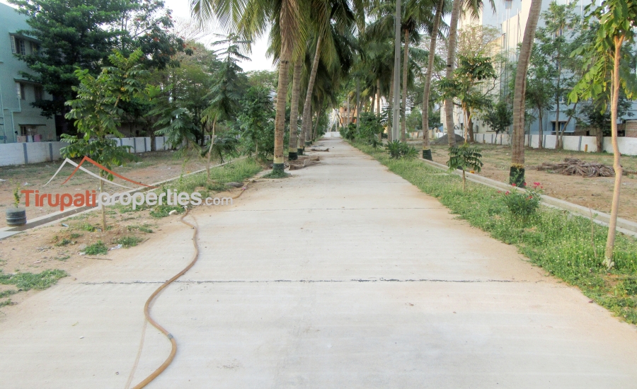 TUDA & RERA Approved #GatedCommunity East & West Facing #PlotsforSale Near Padmavathi Kalyanamandapam, #Tirupati